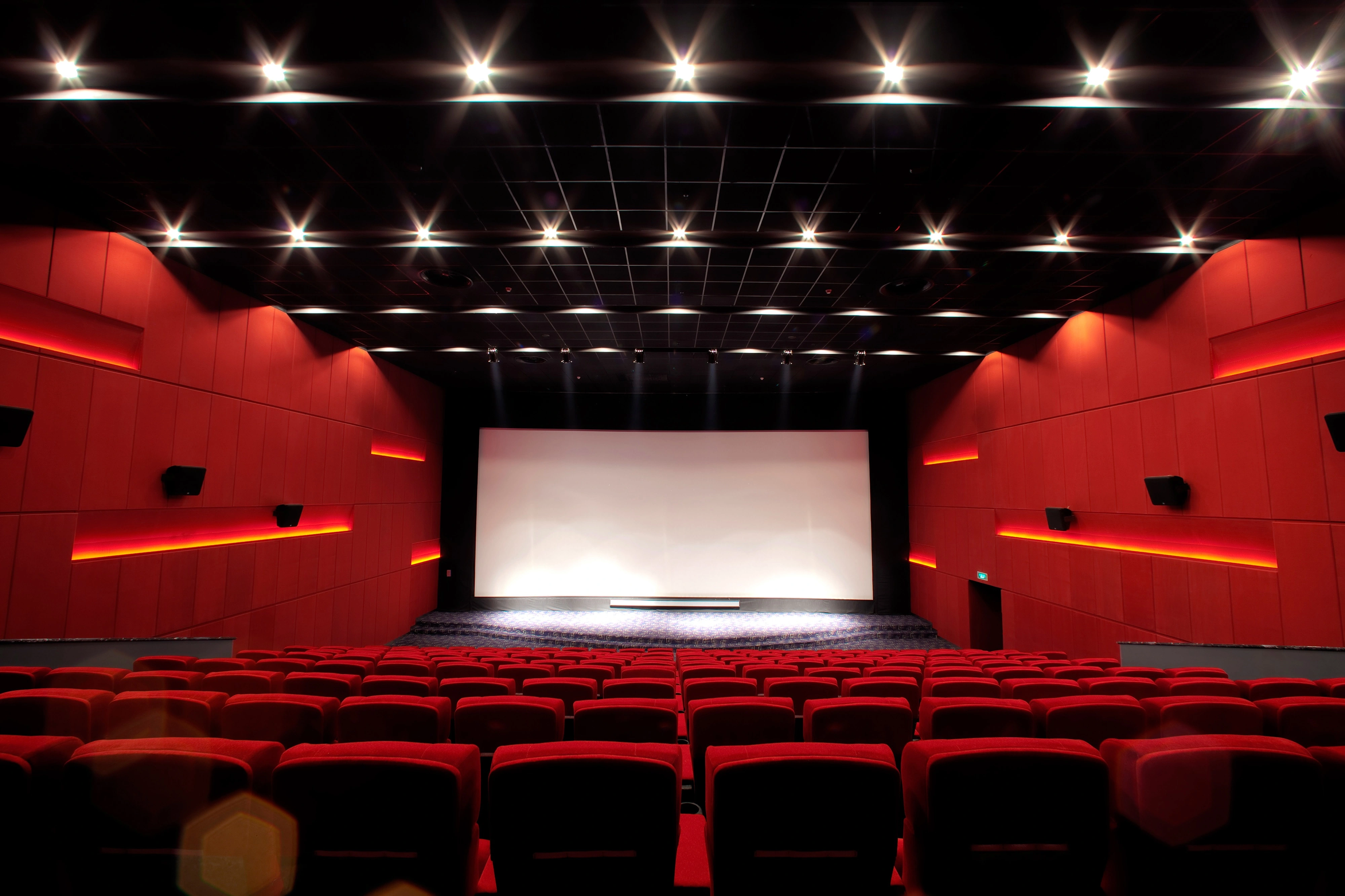 cinema acoustic design case display