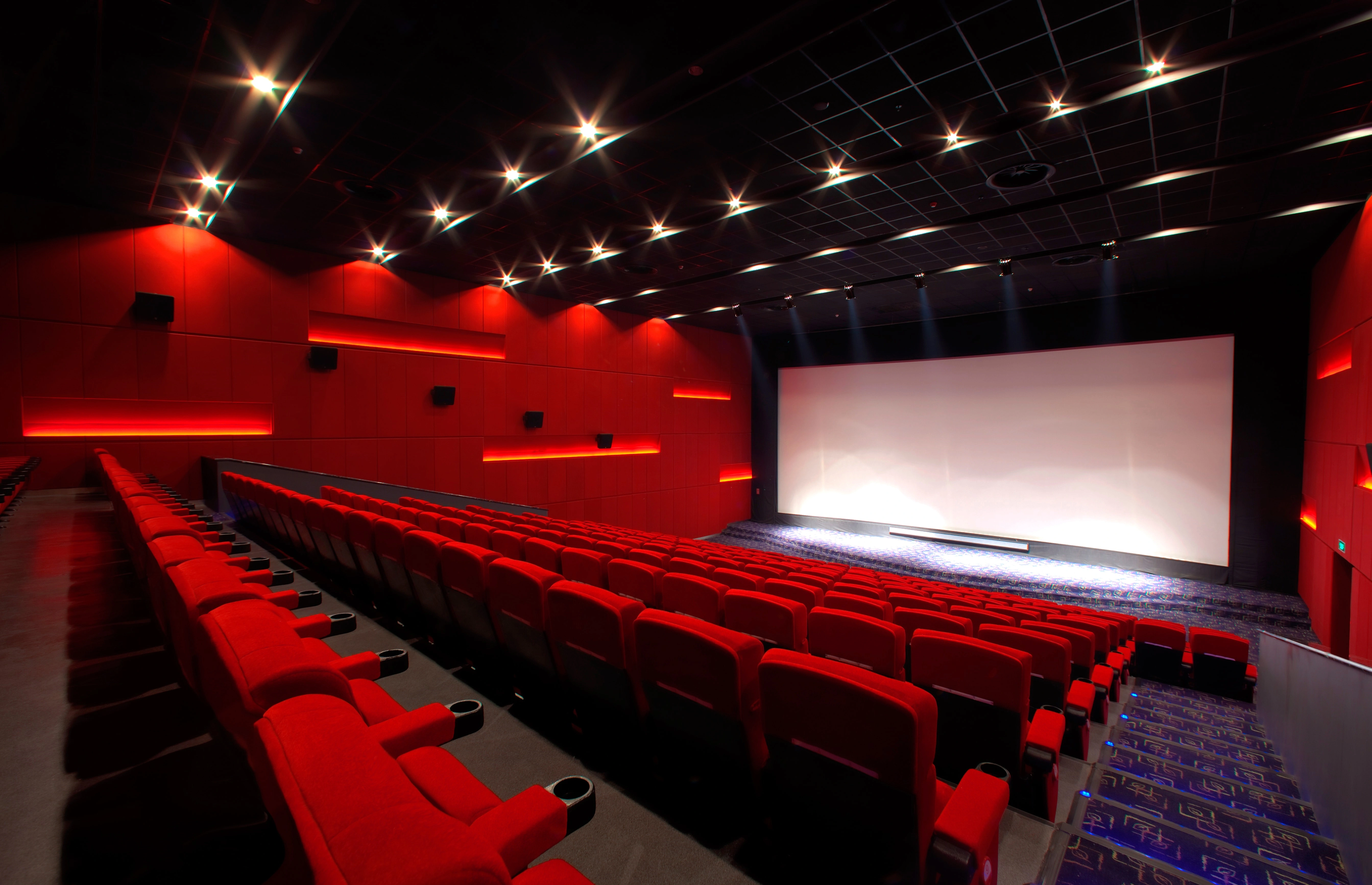 cinema acoustic design case display